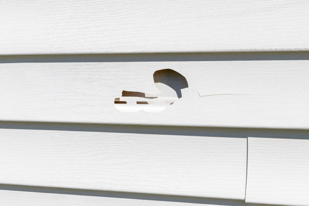 Trusted Seabrook, TX Siding Installation & Repair Experts